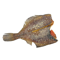 Камбала-ерш североморский вяленый (вес)